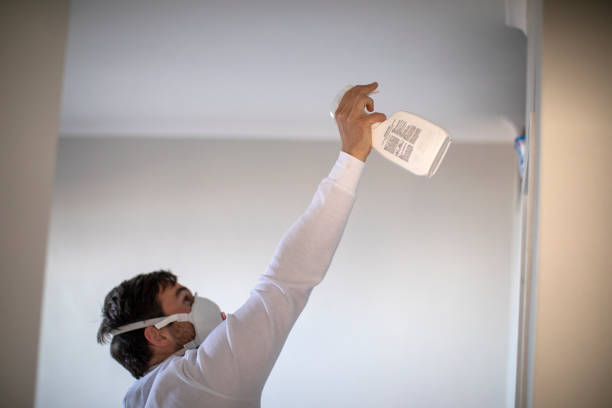 Lewes, DE Mold Removal Company